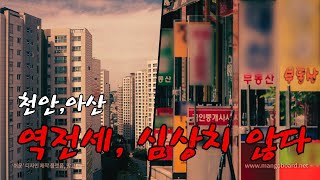 천안,아산│역전세, 심상치 않다│콕부동산 연구소