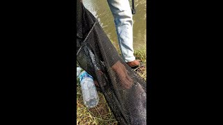 Hasil Akhir mancing nila di empang bang udin