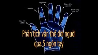 Phân tích vận thế đời người qua 5 ngón tay.