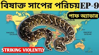 বিষাক্ত সাপের পরিচয় | Identification of Venomous Snakes | EP-9 | #PuffAdder #পাফঅ্যাডার