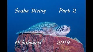 Scuba Diving in Sulawesi - Manado, Bangka & Lembeh part 2 [2019]