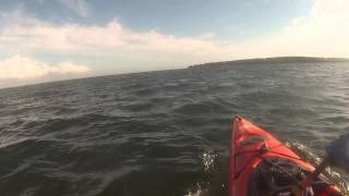 Kayaking Buzzards Bay Area