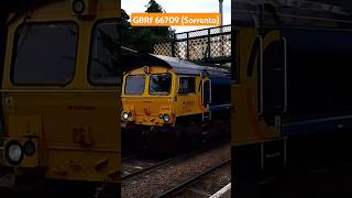 GBRf 66709 (Sorrento) Passing Trimley station 10/7/24 #trimley #railway #class66 #gbrf #train