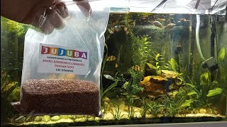 Novidade Micro camarão desidratado ótima vitamina para Peixes ornamentais e pássaros