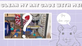 | Clean my rat cage with me! | (So this happened...) |