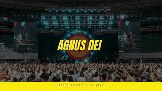 Agnus dei - Marcos Brunet | Backing track for Bass