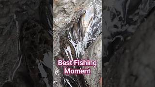 Best Fishing Moment | Watch Please