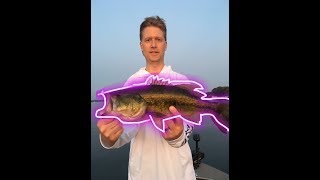 That was unexpected... HUGE Bass On PRESSURED Lake