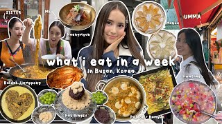 what i eat in a week in Korea (aka what my Korean mom cooks for me) *korean food + family mukbang*🌶️