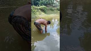 জাল ভতি সাব উটলো জালে Amazing fisg#video #fishing #fishingtechniques #fishingtips #fish #amazingfish