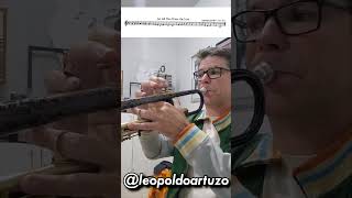 Estude pouco, toque bonito, Vídeo 113  #trompete #trompeta #trumpette #trumpetmusic #trompetista