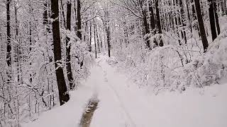 another day of the winter #winter #offroad #offroading #polaris #polarissportsman1000 #atv