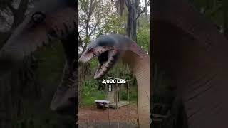 Don't watch if you have a fear of snakes!