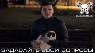 Задавайте Свои Вопросы