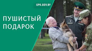 Послу Словакии в Беларуси пограничники подарили четвероногого друга