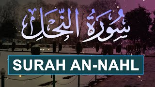 Surah An Nahl Fulll | سورة النحل | Best Quran Recitation | Soothing & Relaxing Voice | Islamic Video