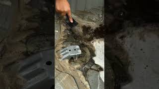 car detailing  #satisfying #automobile #shortvideo #automotive #cars #auto #offroad #shorts