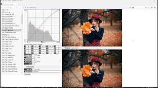 The BEST presets SPECIFIC for Nikon? Free? For the Camera itself? (4K Video)