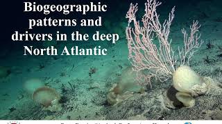 Biogeographic patterns and drivers in the deep North Atlantic