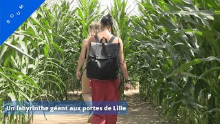 Un labyrinthe géant aux portes de Lille