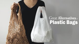 Best alternative to plastic bags | Substitute for plastic bags | pollution