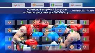 Первенство Республики Татарстан среди юношей 2003-2004 г.р.