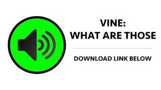 Vine - What Are Those Sound Effect