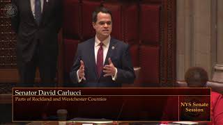 Senator Carlucci Supports Extreme Risk Protection Orders