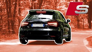 AUDI S1 REVO STAGE 2 SOUND