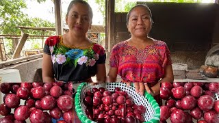 Conserva de Ciruelas/Un postre riquísimo🍒