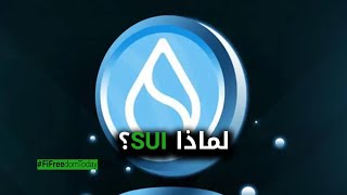 لماذا SUI؟