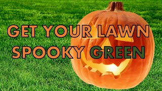 Fertilizing The Lawn For Halloween | Guaranteed No Stripes