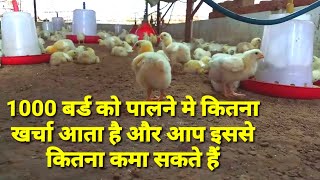 1000 बर्ड को पालने मे खर्चा और कमाई कितनी होती है। 1000 Poultry bird production cost and income