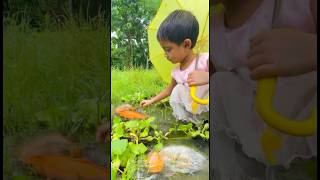 Amazing village Fishing videos #fish #fishing #shorts #foryou #viral #trending