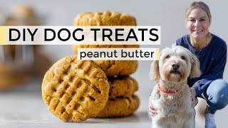 HOMEMADE DOG TREATS | easy DIY dog treats recipe