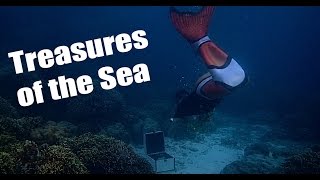 TREASURES of the SEA.  Freediving Merman.  Underwater Short Film.  Moalboal, Philippines