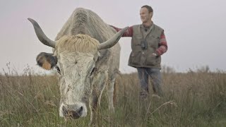 De la terre à l'assiette - Épisode 74 - Élevage et biodiversité