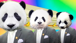 Funny Cute Pandas - Coffin Dance Song (COVER)