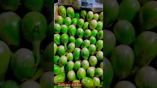 वांगी लागवड || वांगी उत्पादक #shorts #reels #viral Youtubeviral trending status farmer #agricultural