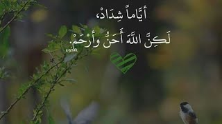 إوعوا تسيبوا نفسكم للغفلة تاني🤔😉 إوعوا متكونوش إستوعبتم الدرس✋ #لايك_وشير👍#صدقوني_هتندموا😢😢