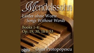 Leider ohne Worte (Songs Without Words) , Op. 38: V. Agitato in A Minor