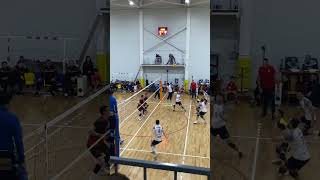 Игра мастеров волейбола #volleyball #волейбол #shortvideo