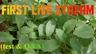 First Live Stream!! Gardening tips