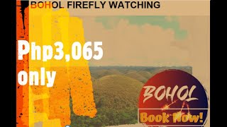 BOHOL FIREFLY WATCHING TOUR (VLOG#26) #philippines #bohol #travel #vlog