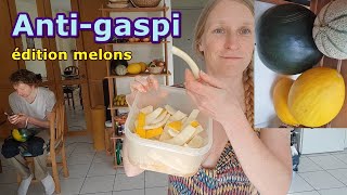 Rentabiliser ses melons et pastèques