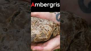 Why ambergris is so expensive? Mr Best