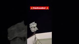 Vaishnodevi mata mai pardesi hu phli bar aaya hu #youtubeshorts #first #touristplace #blog #jammu