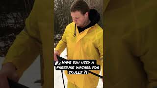 Pressure washer is the best for cleaning SKULLS!!! ☠️ #pressurewashing #ytshorts #taxidermy