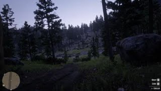 Red Dead Redemption 2 - 2nd cougar down