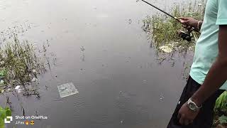 fishing on pond (lake) 🎣